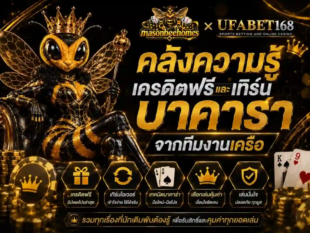 คลังความรู้ เครดิตฟรี และ เทิร์น บาคาร่า จากทีมงานเครือ